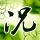 天下无双